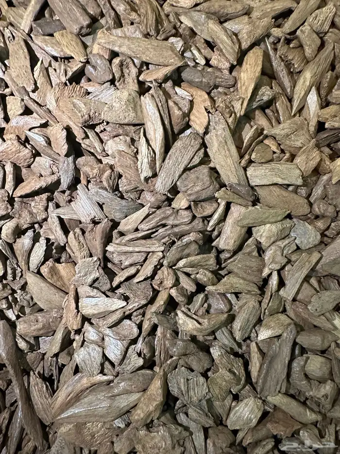 عرض منافس على العود الطبيعي 0