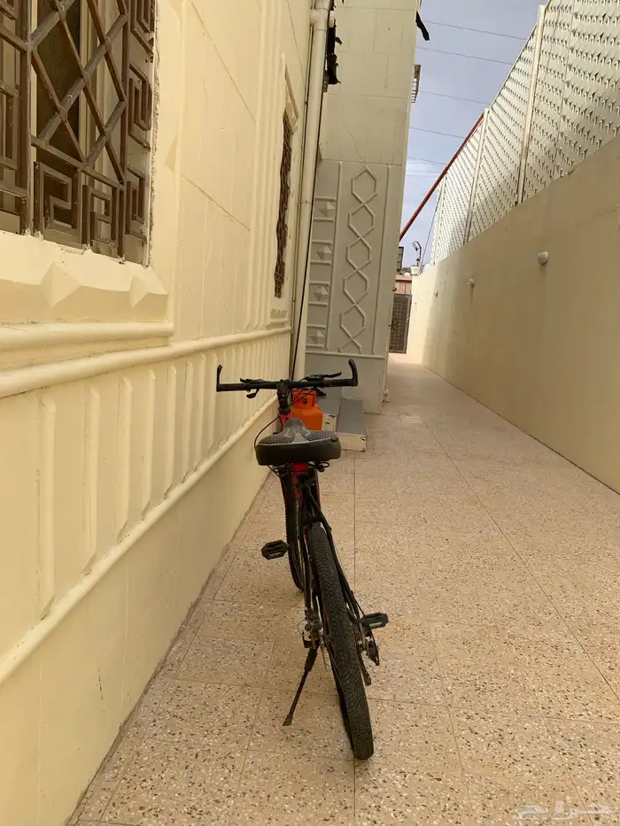 سيكل تعشيق 2