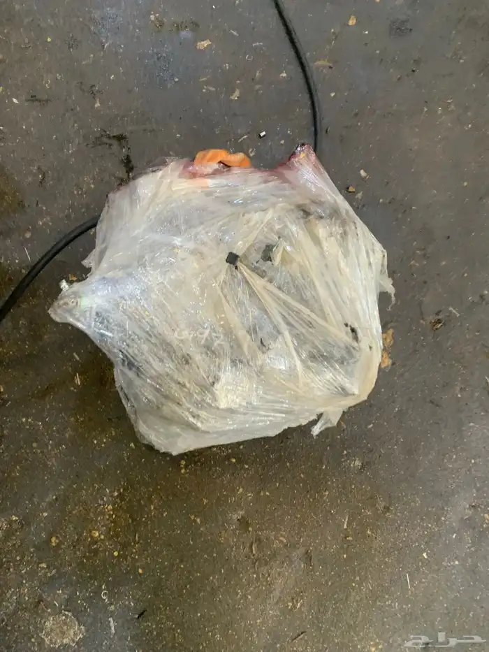 قير جير يارس كرولا كامري أفلن اورين سنترا مستورد نضيف ضمان 3