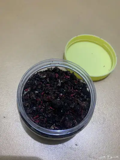 بخور و معمول امي 0