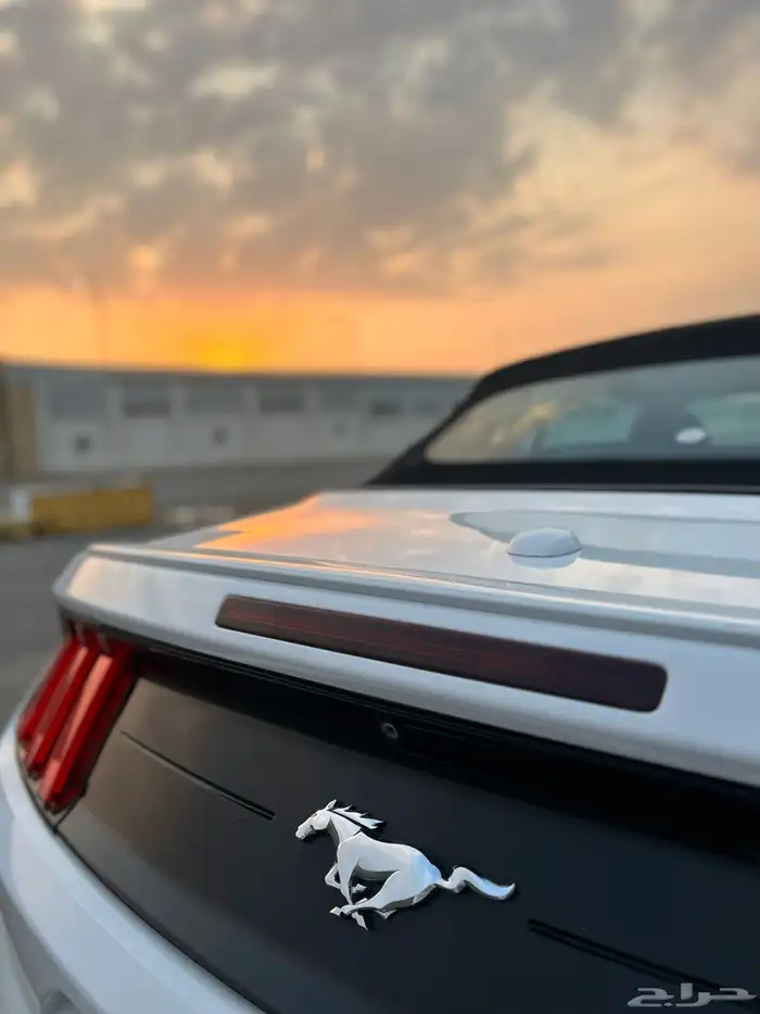 موستنق ايكوبوست 2020 39