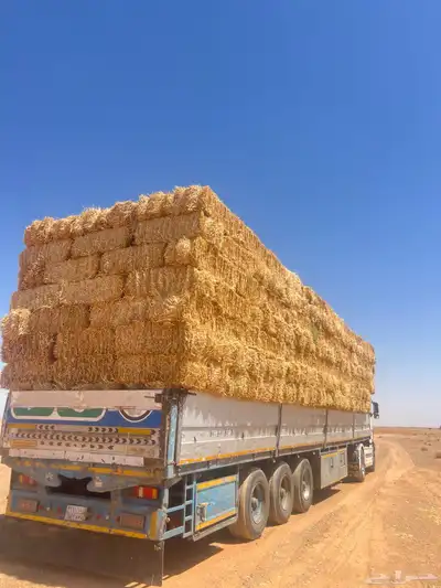الدفع عند الاستلام 2