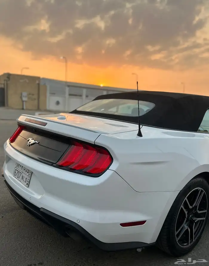 موستنق ايكوبوست 2020 37