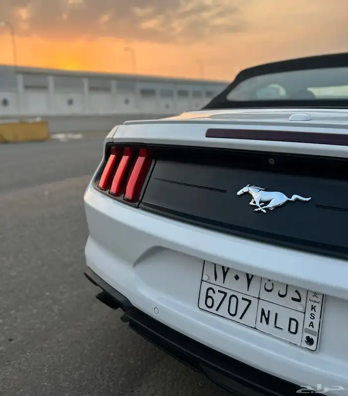 موستنق ايكوبوست 2020 38
