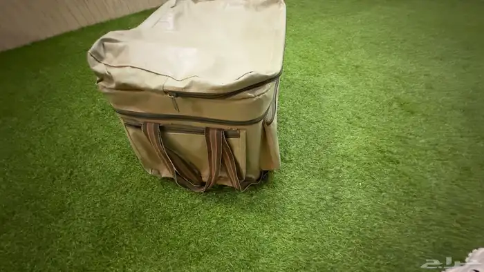 شناط عزب 4