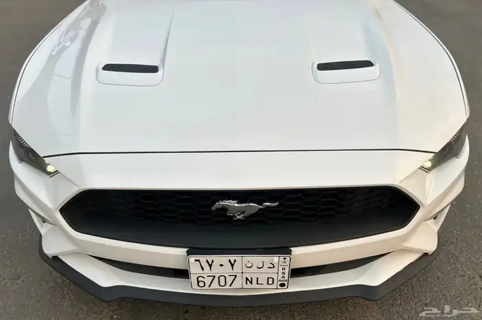 موستنق ايكوبوست 2020 36