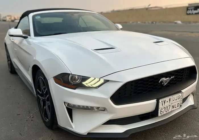 موستنق ايكوبوست 2020 34