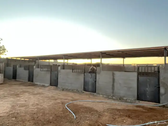 ايواء خيل 0