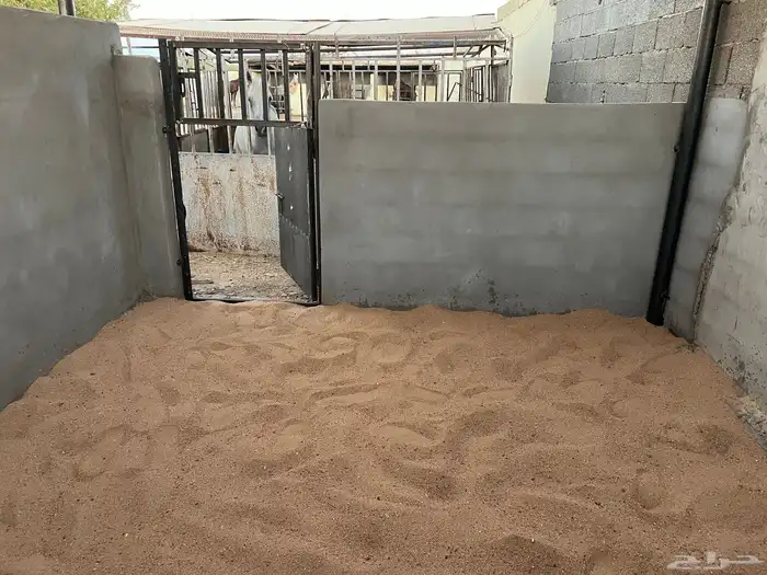 ايواء خيل 2
