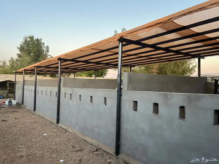 ايواء خيل 1
