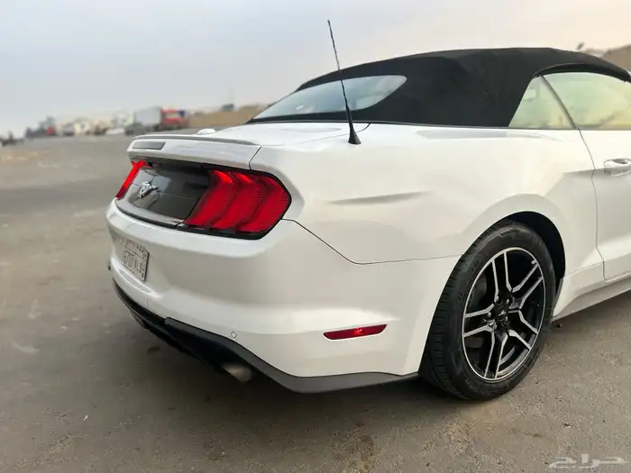 موستنق ايكوبوست 2020 7