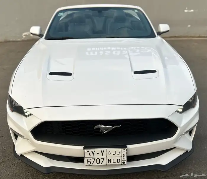 موستنق ايكوبوست 2020 16