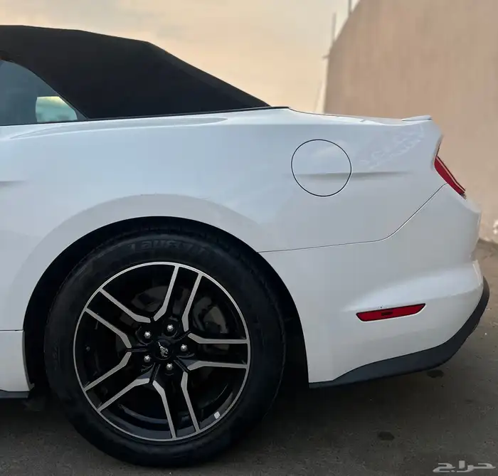 موستنق ايكوبوست 2020 31