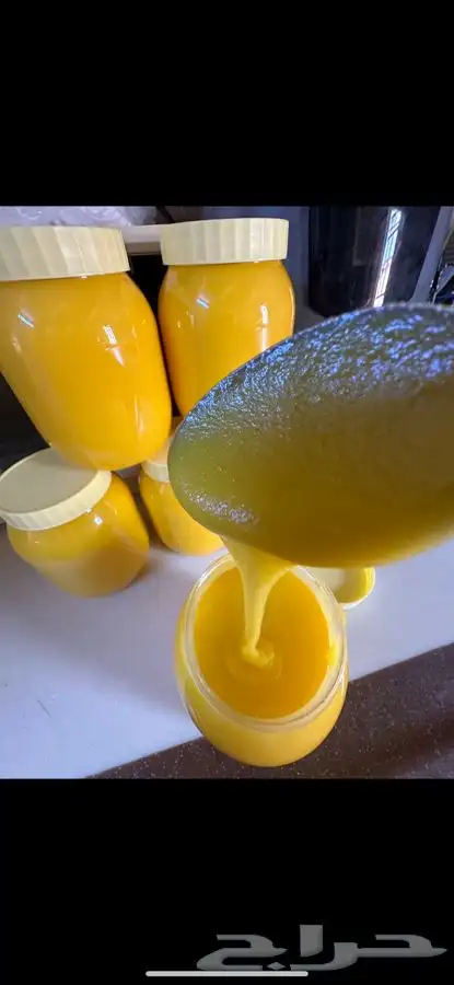 سمن بقر 1