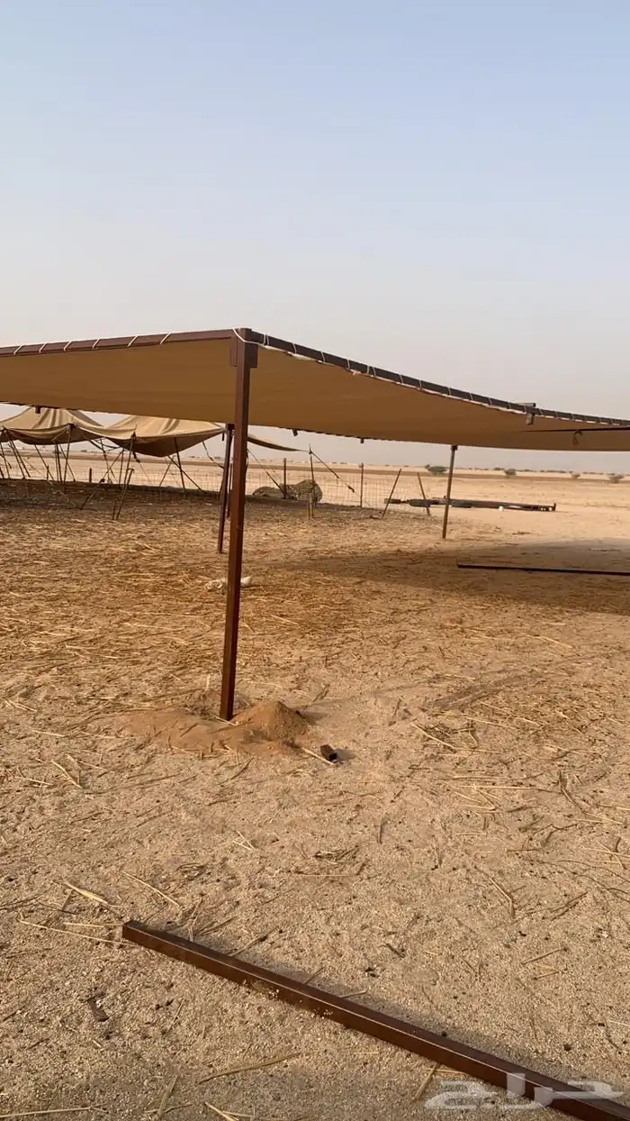 مضلات الحلال تفصيل فوري على الطلب 0
