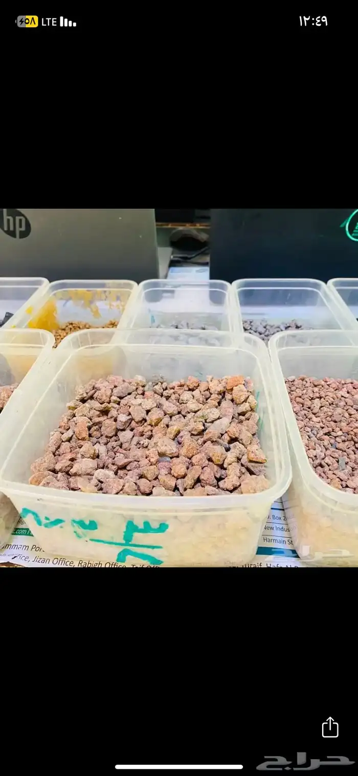 بطحاء حائل 0