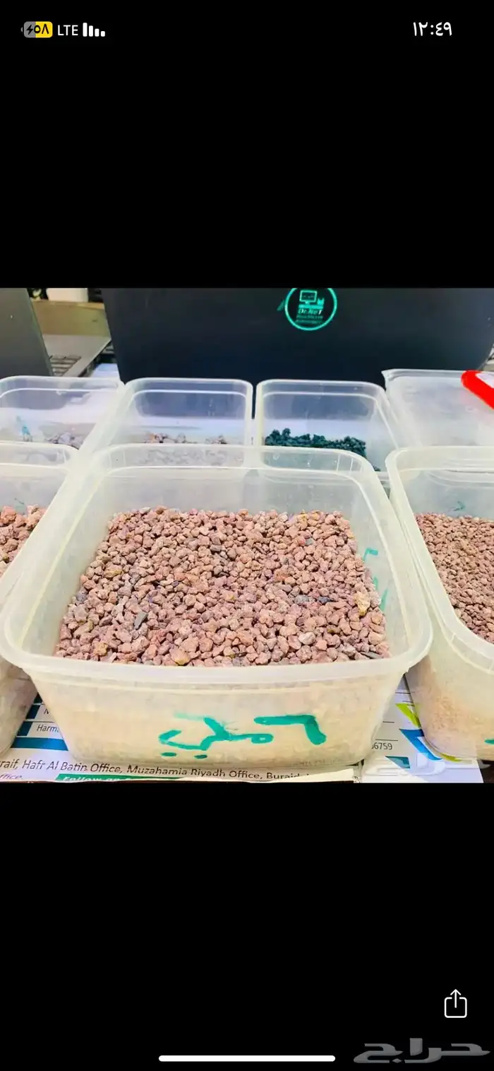 بطحاء حائل 1