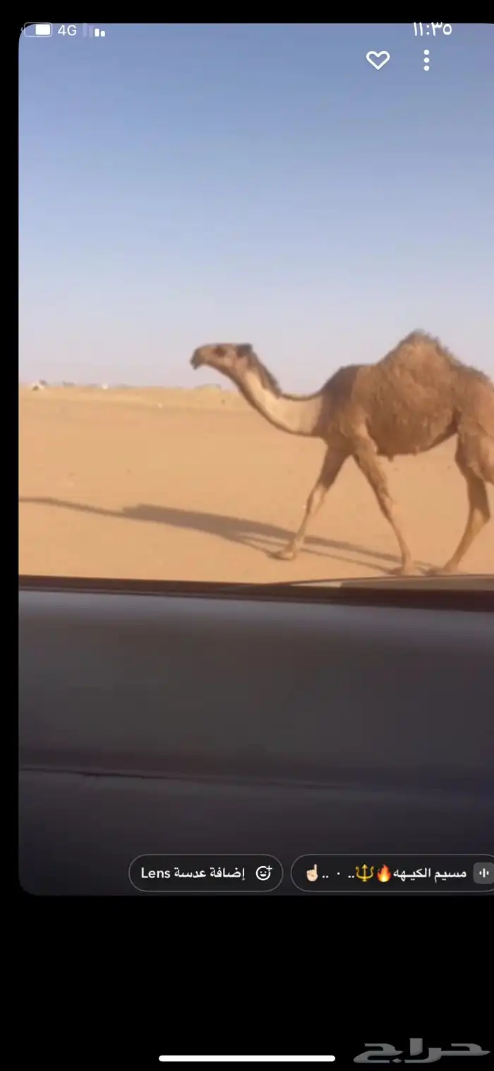 مفروده 0