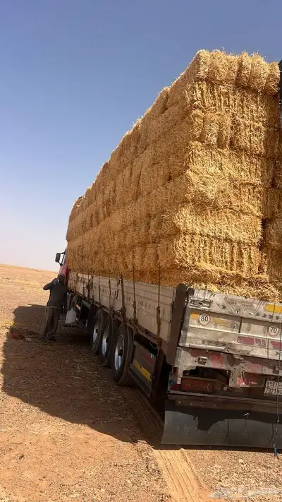الدفع عند الاستلام 3