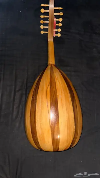 عود مصري 1