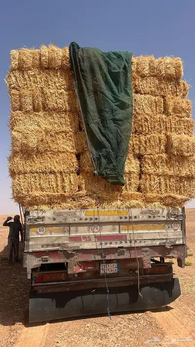 الدفع عند الاستلام 4