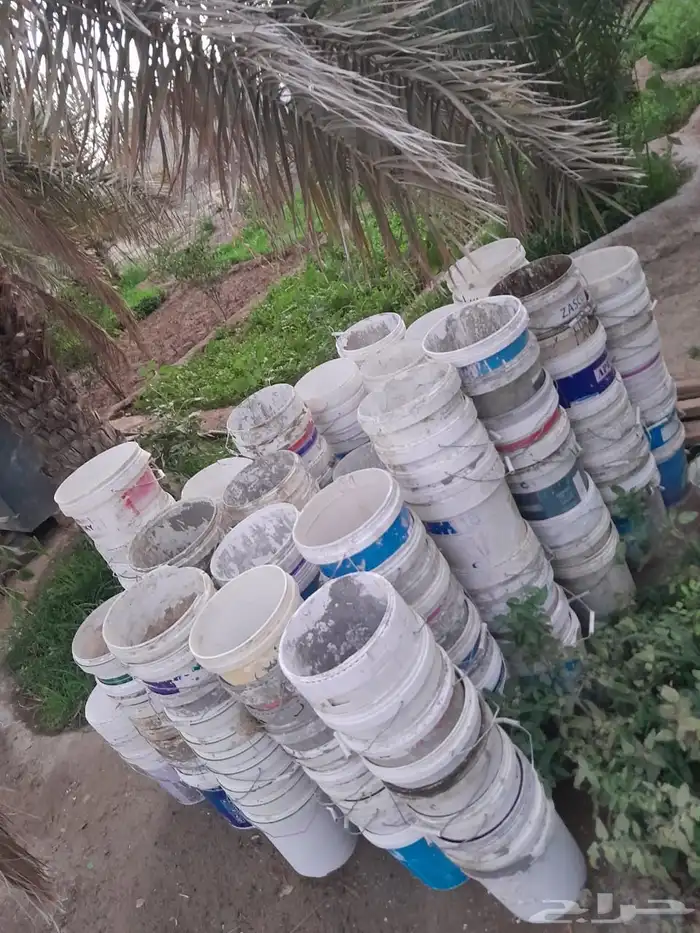 سطول فاضي حق البوية 250 حبة 2