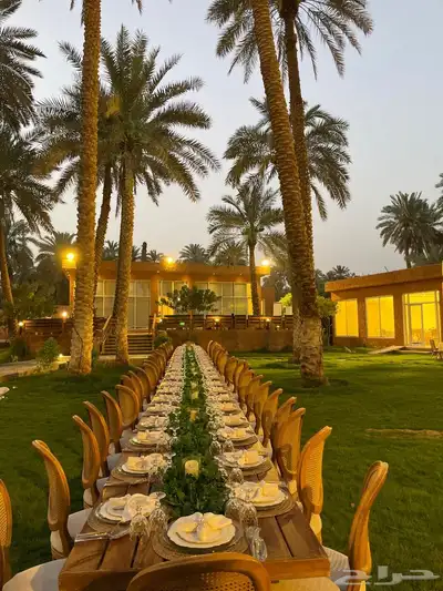 تاجير طاولات طعام الرياض 4