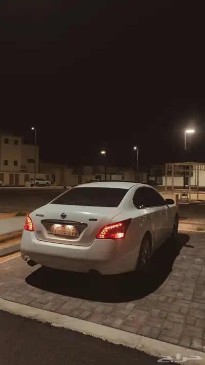 ماكسيما 2010 1