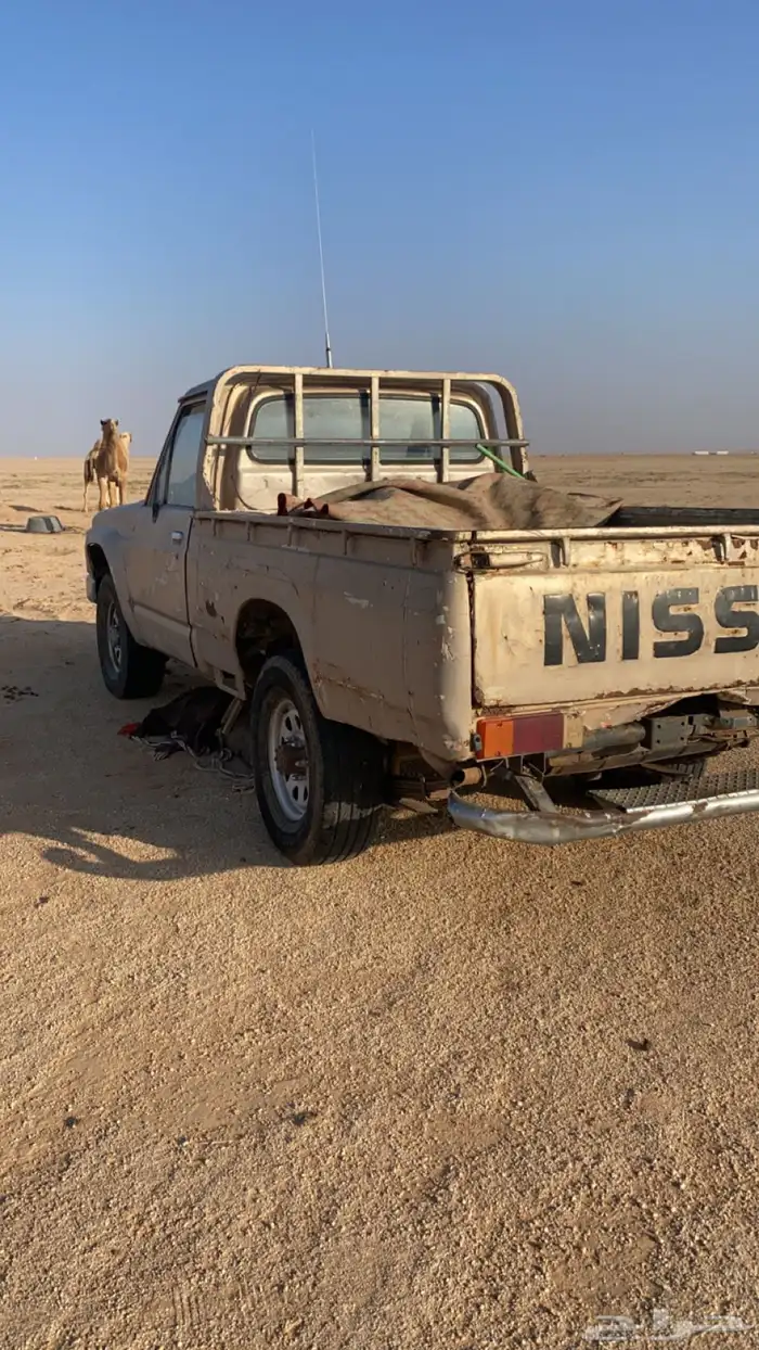 مسقط نيسان عزبه 3