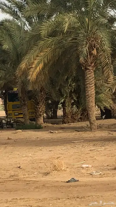 مشروع زراعي حر للبيع 3 رشاشات محورية 6