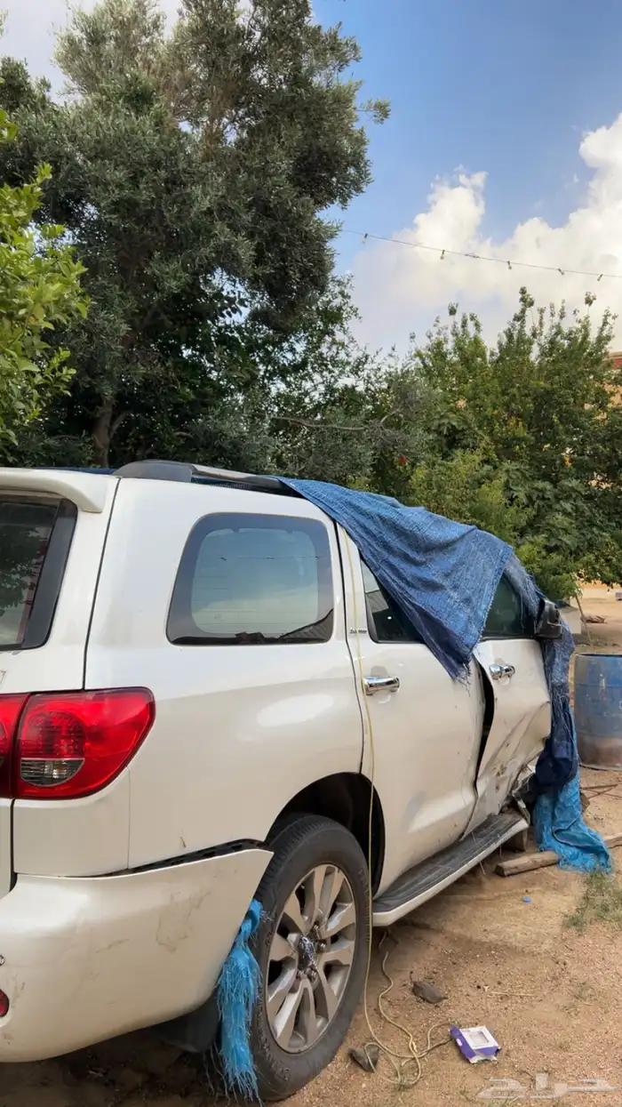 سكويا 2010 1