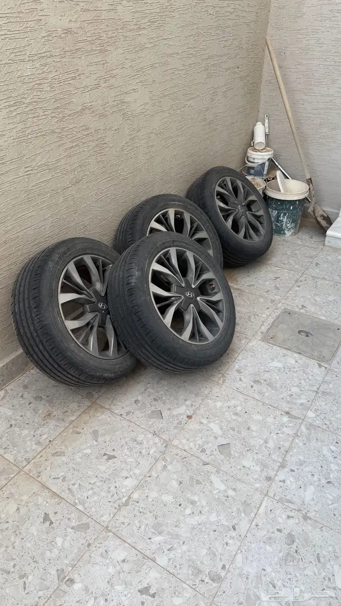 جنوط سوناتا 0