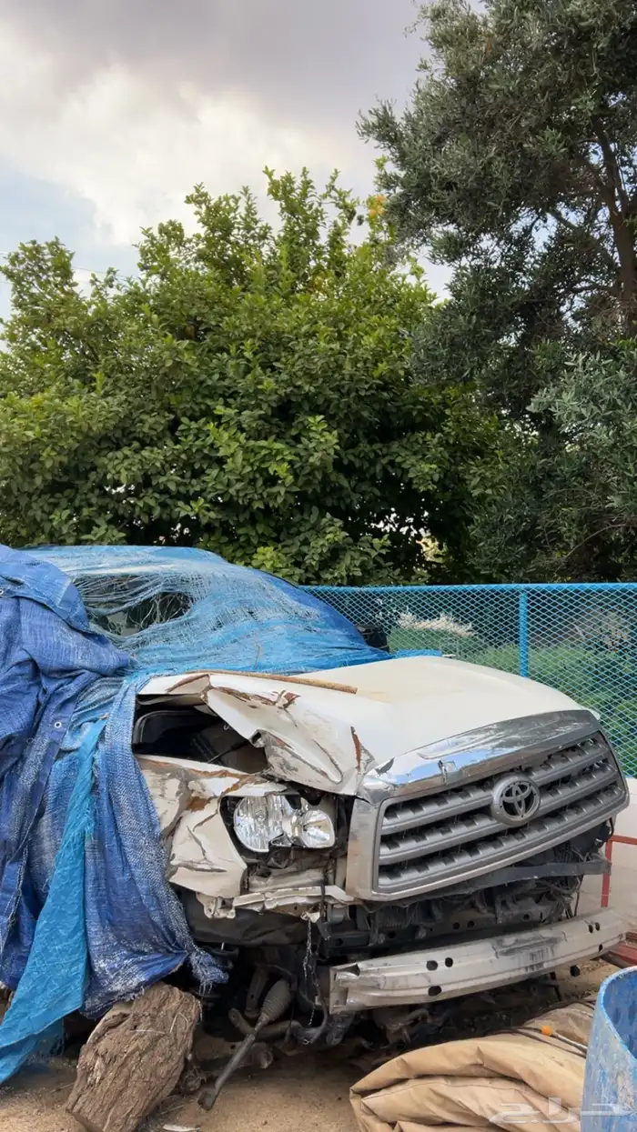 سكويا 2010 2