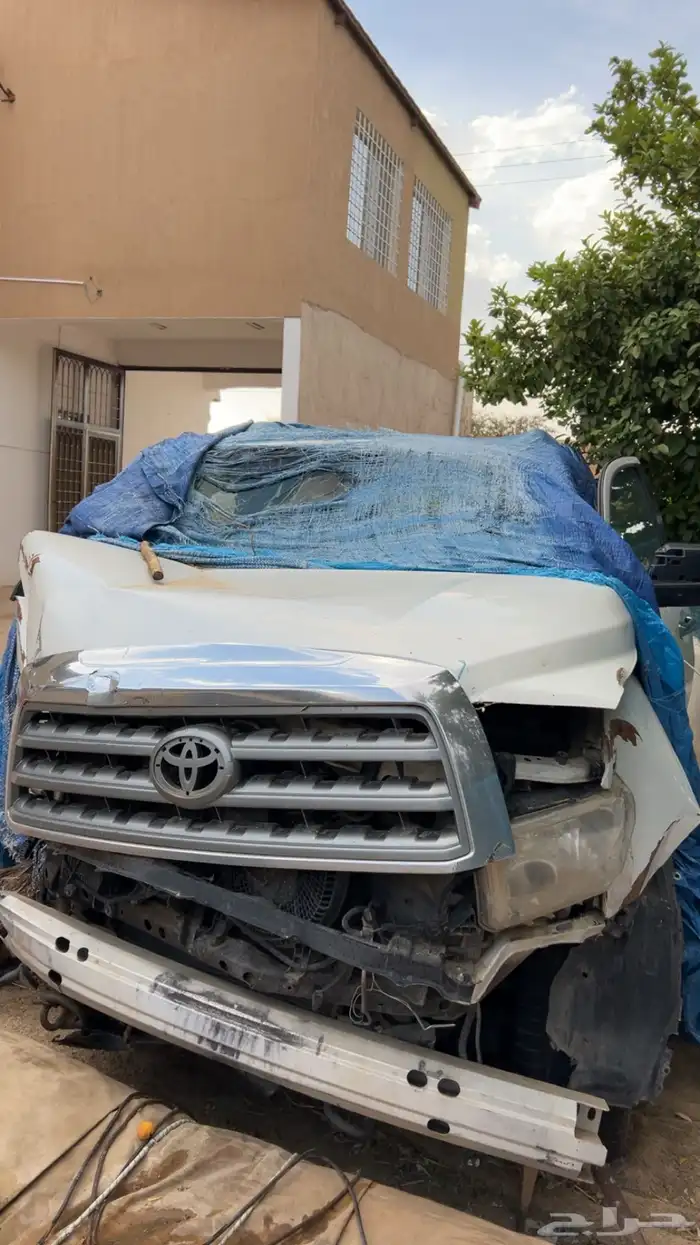 سكويا 2010 4