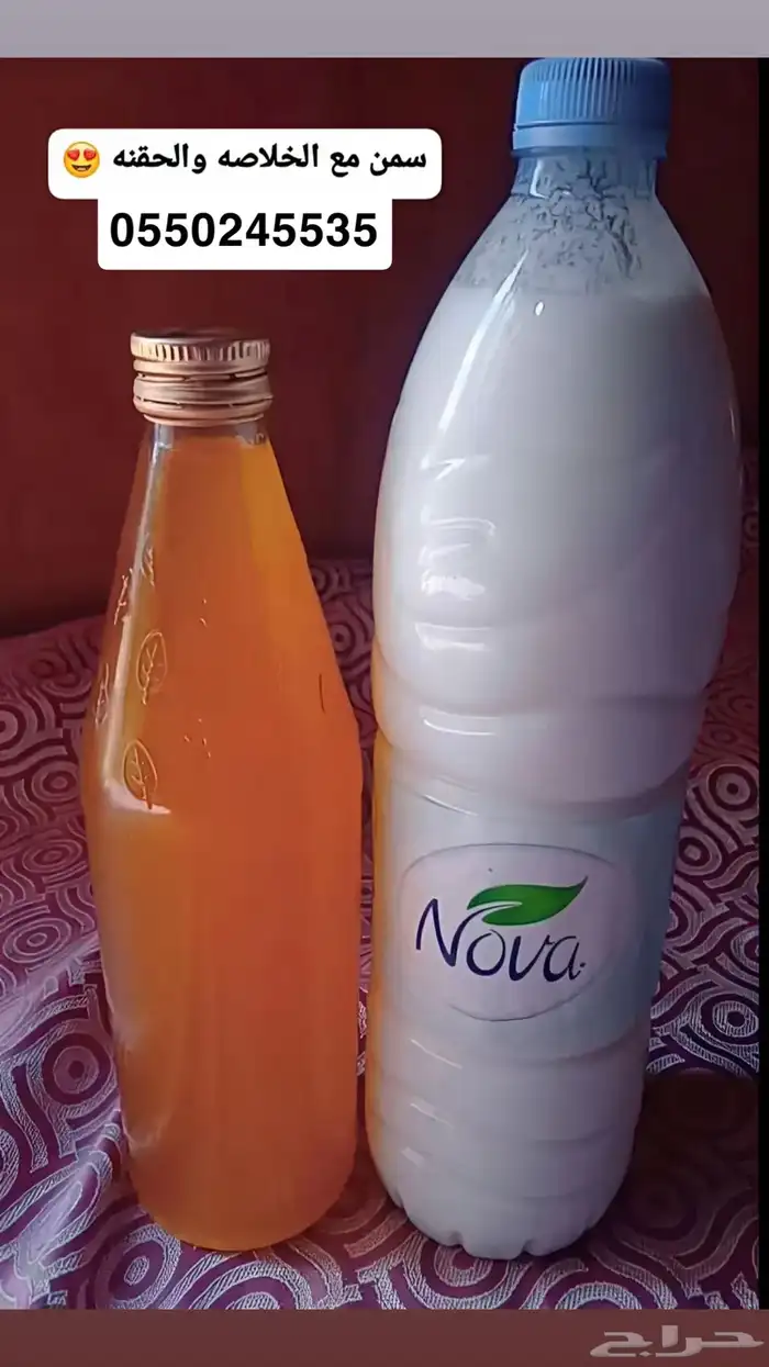 سمن بقر بلدي على الشرط 0