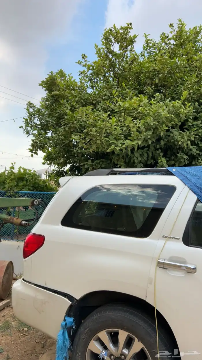 سكويا 2010 3