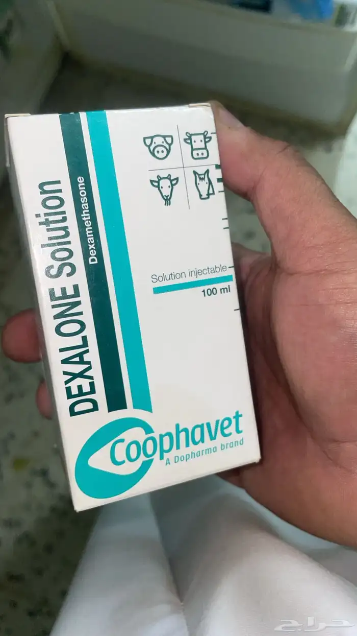 درزون دكسا ضلع فلزون هجن 8