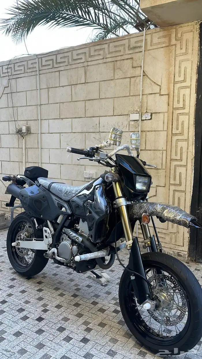 ديار 2024 5