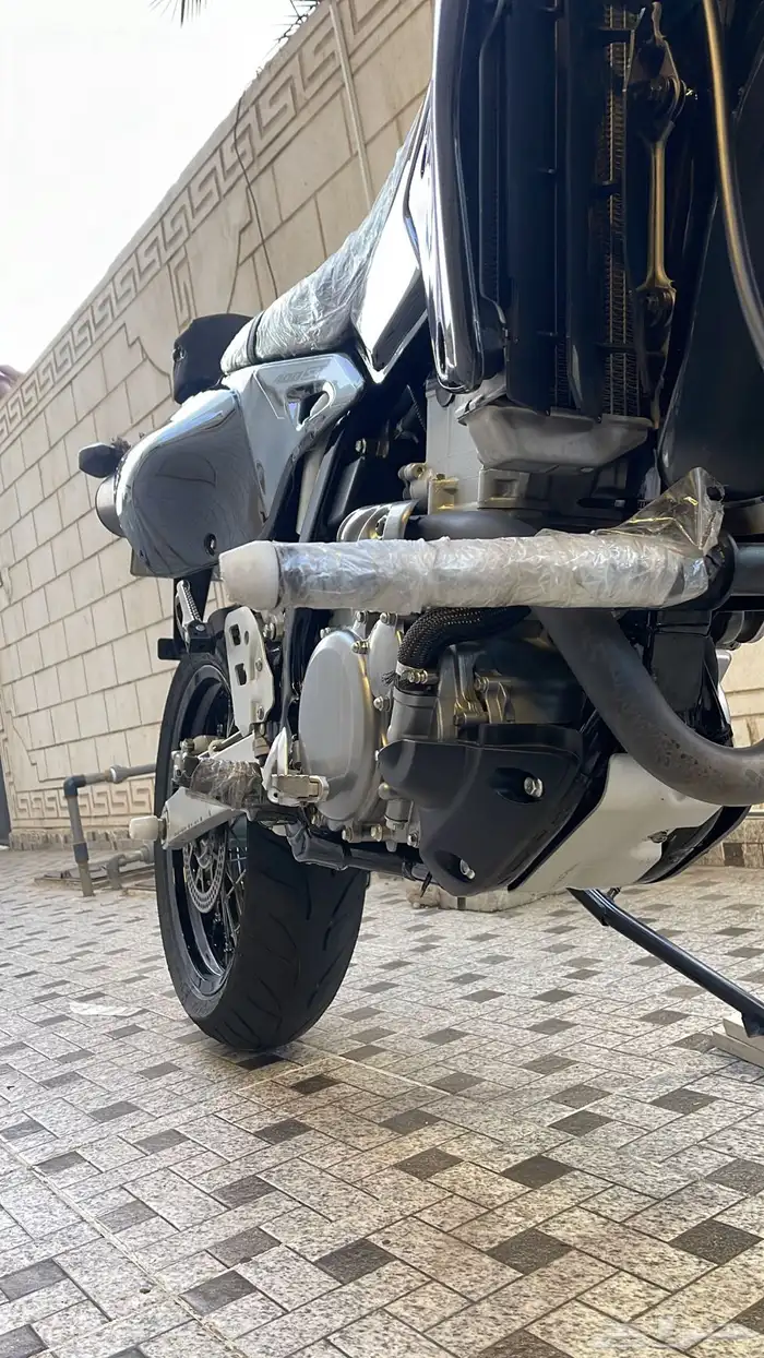 ديار 2024 6
