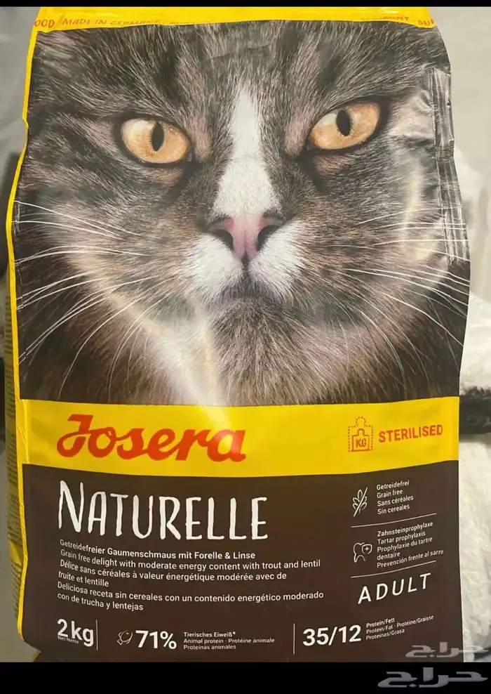 اكل للقطط المعقمة 0