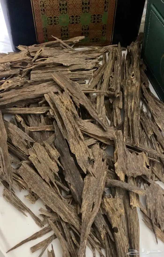 عود. هندي ناجالاند فاخر. عرض خاص 6