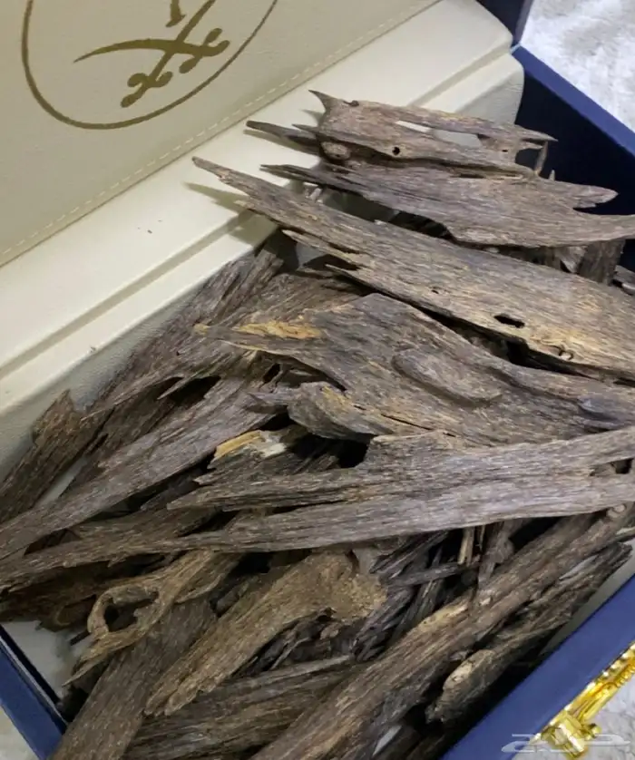 عود. هندي ناجالاند فاخر. عرض خاص 3