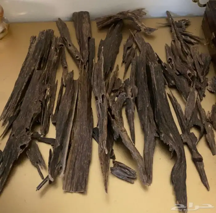 عود. هندي ناجالاند فاخر. عرض خاص 0