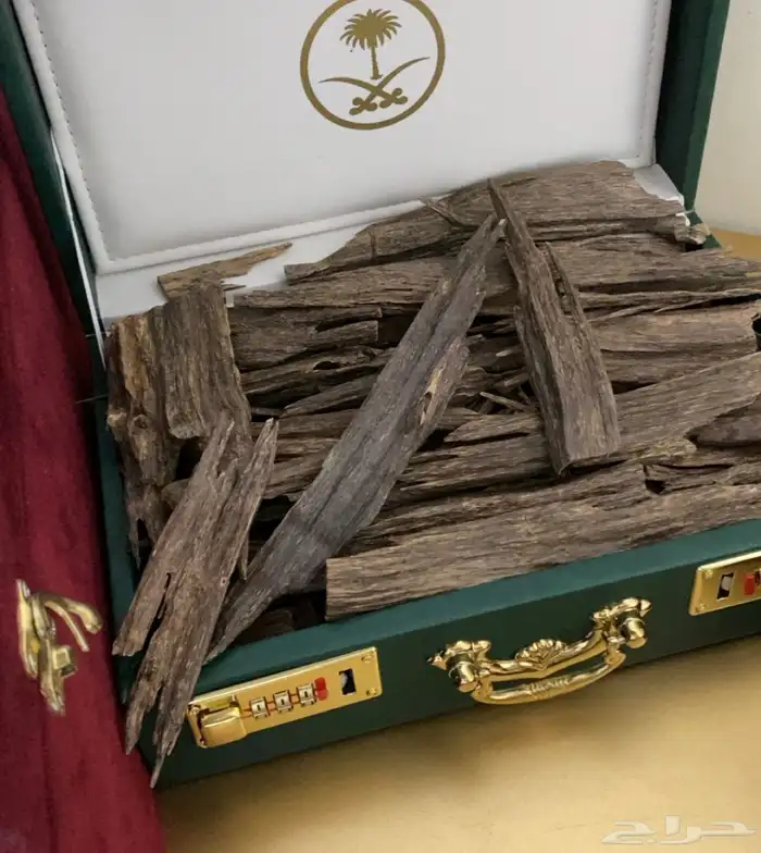 عود. هندي ناجالاند فاخر. عرض خاص 5