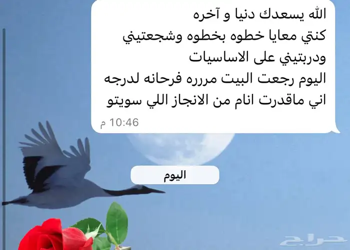 تدريب قيادة 0