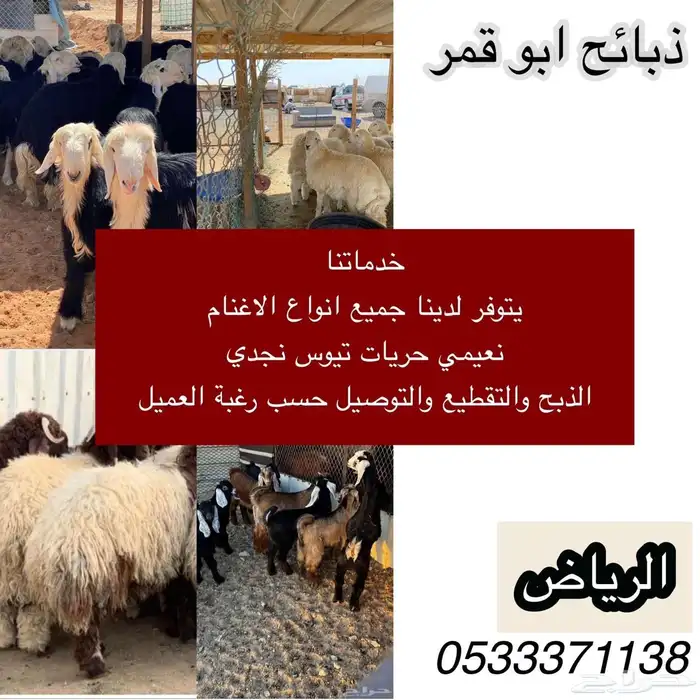 نعيم ضحيا وحريات كفو 2