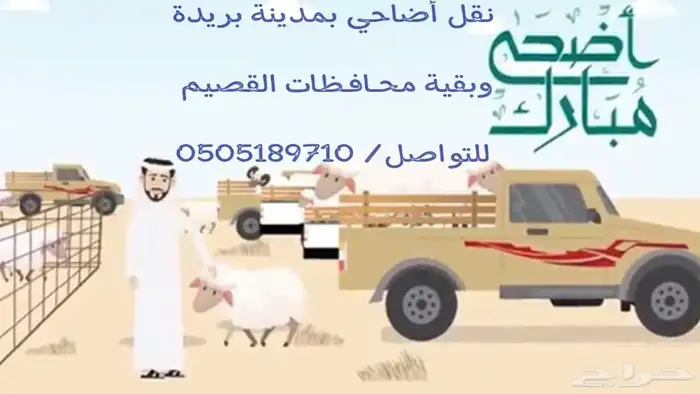 نقل اضاحي بسعر مناسب جدا 0