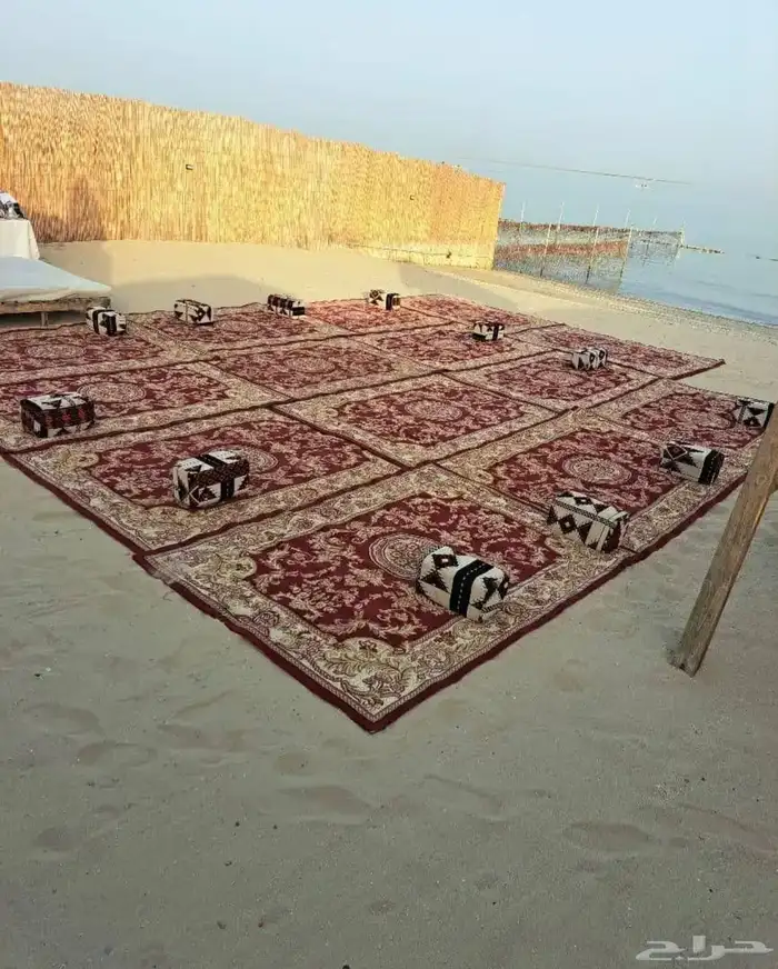 تاجير زل ملكي وزل الصغير 9