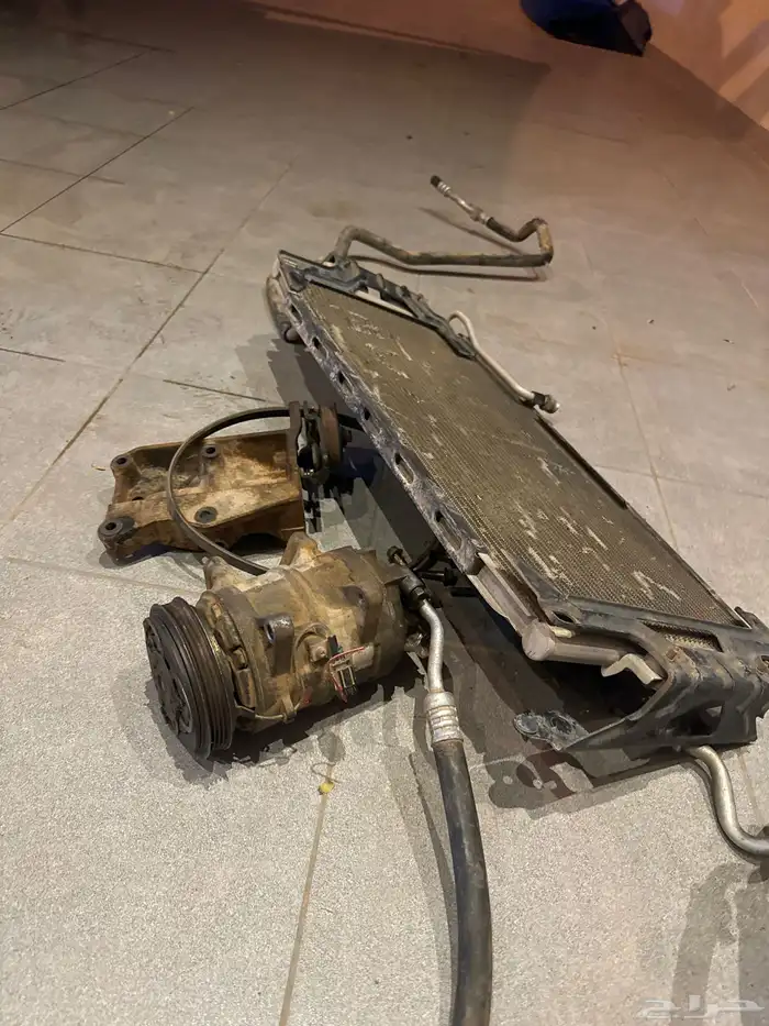 رياض الخبراء 3