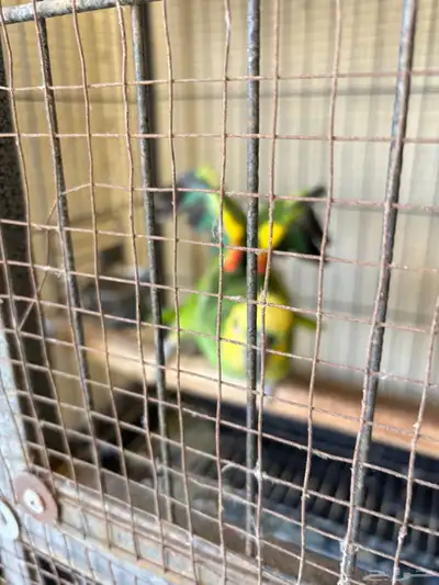 الأندلس 1